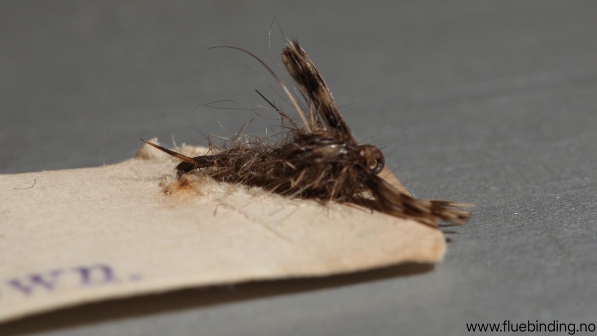 March Brown