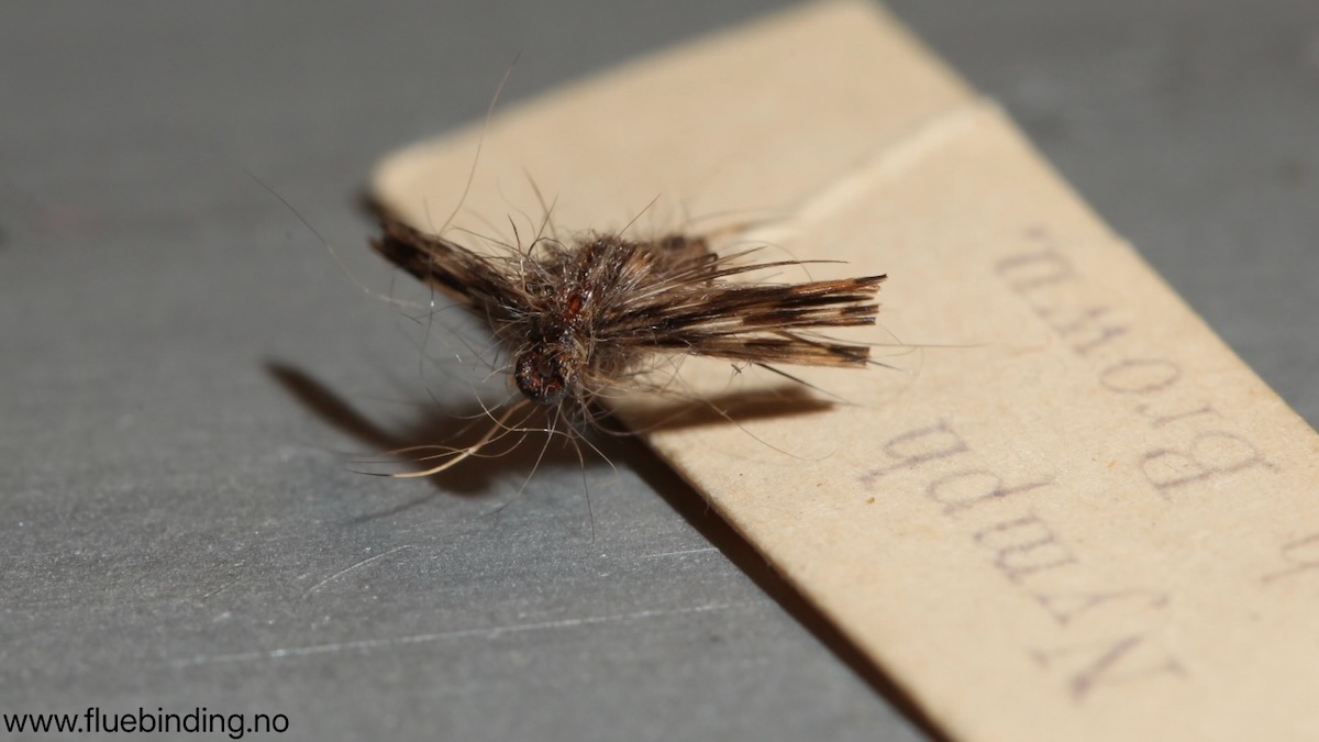 March Brown