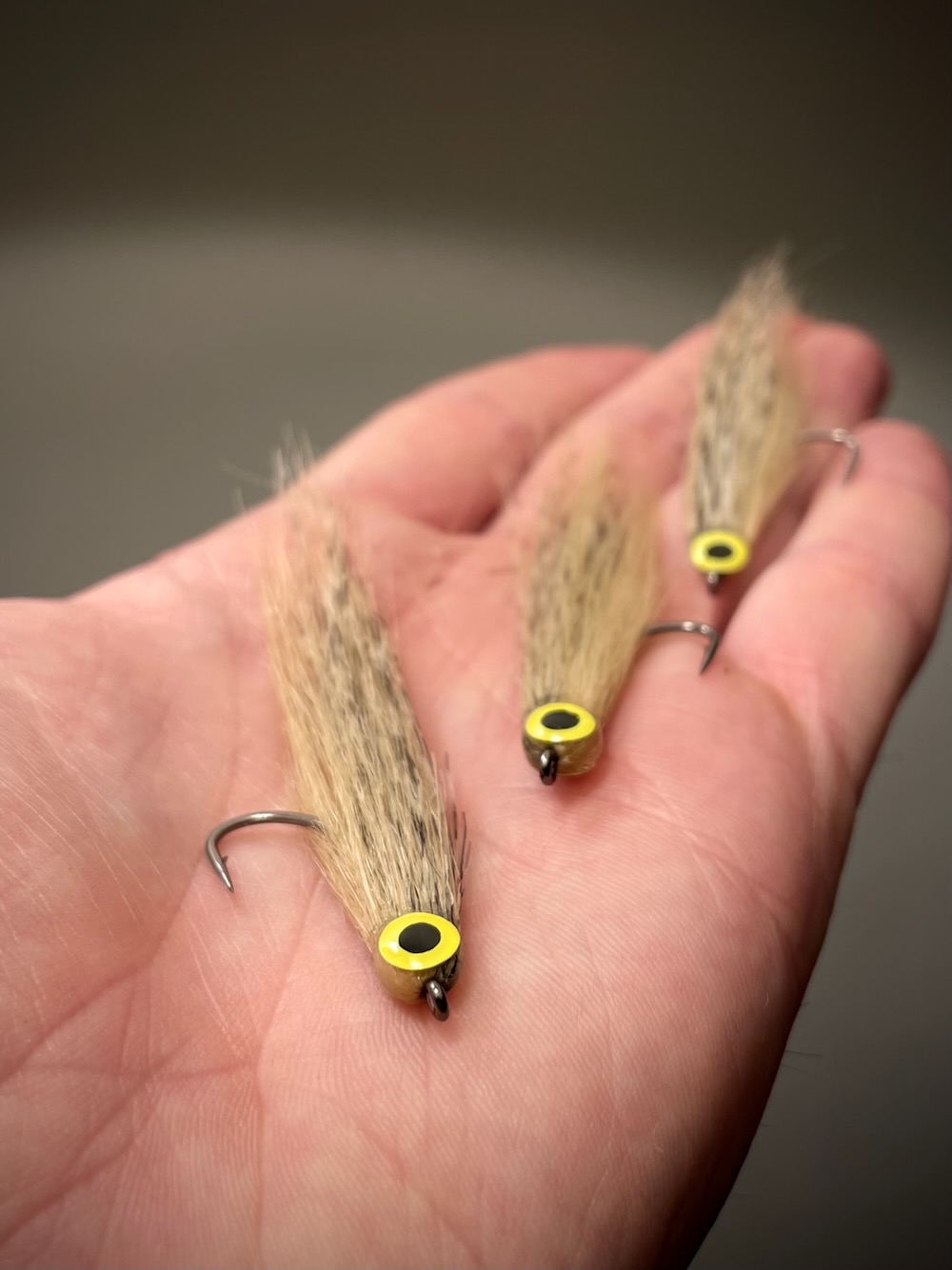 CF Baitfish