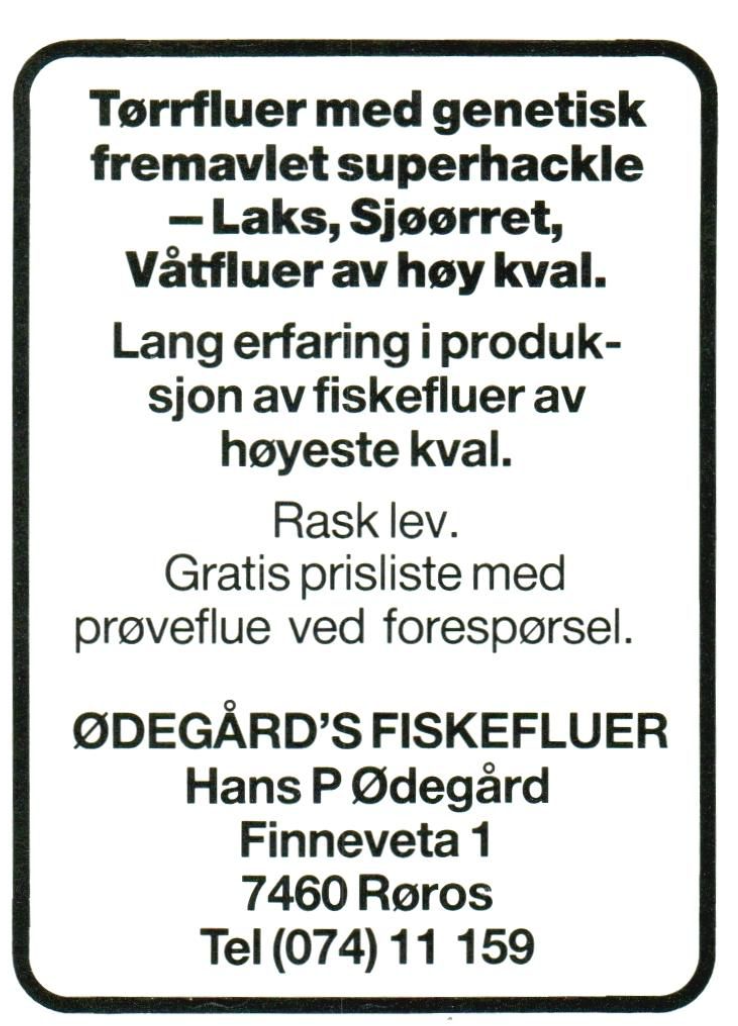 Hans Petter Ødegård: Ødegårds Fiskefluer