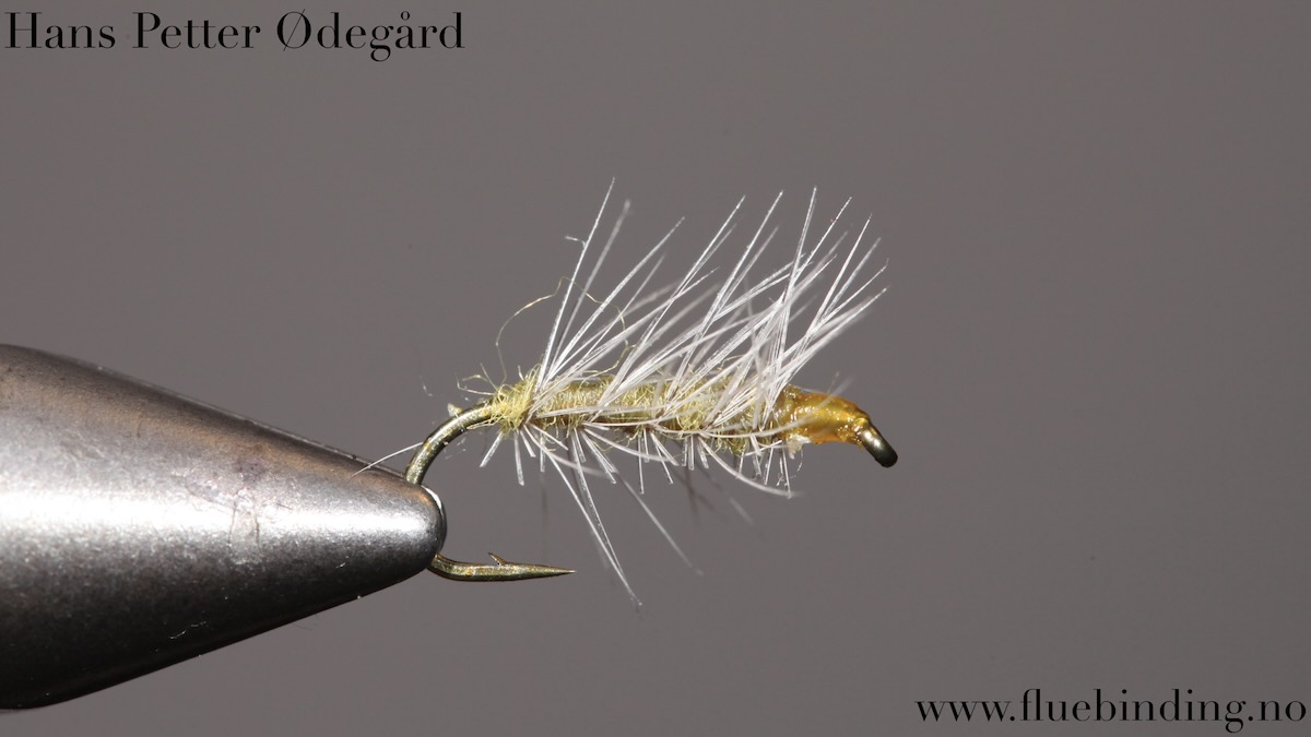 Hans Petter Ødegård: Tørrflue