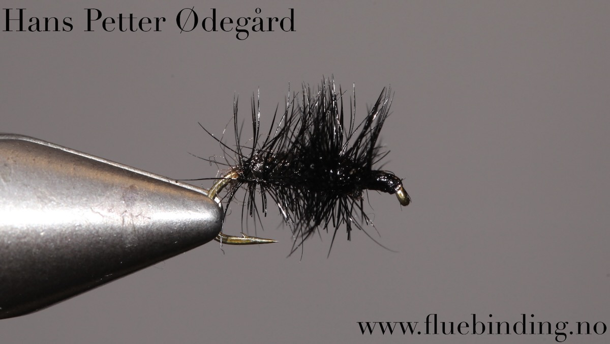 Hans Petter Ødegård: Tørrflue