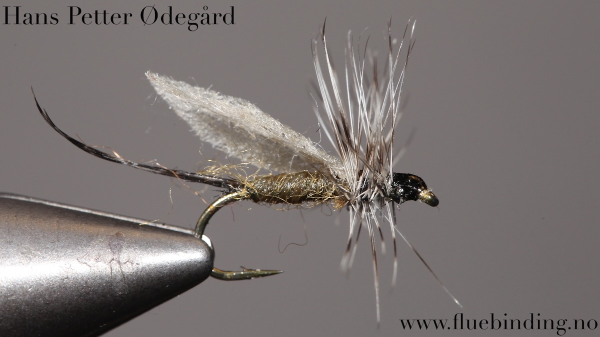 Hans Petter Ødegård: Tørrflue