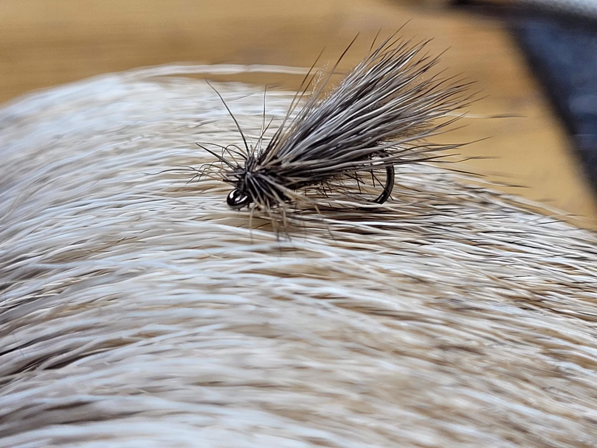 Caddis